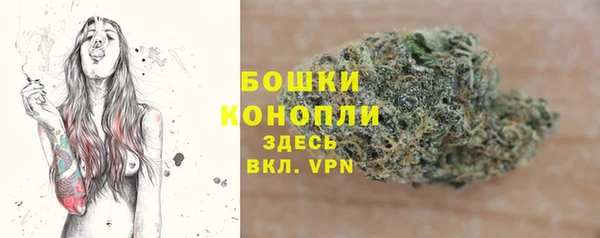 гидра Богородицк