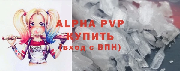 a pvp Бородино
