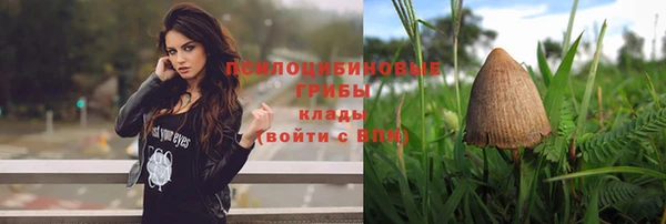 меф Ельня