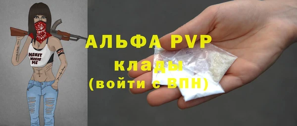a pvp Бородино
