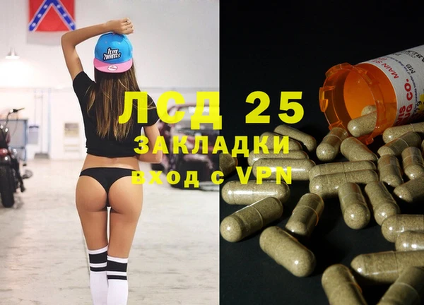 a pvp Бородино